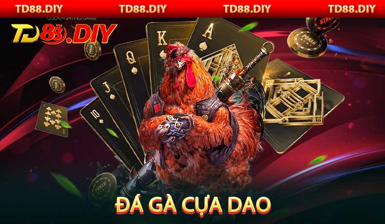 Đá gà cựa dao